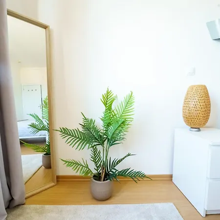 Apartment Ribeira Dilhas *